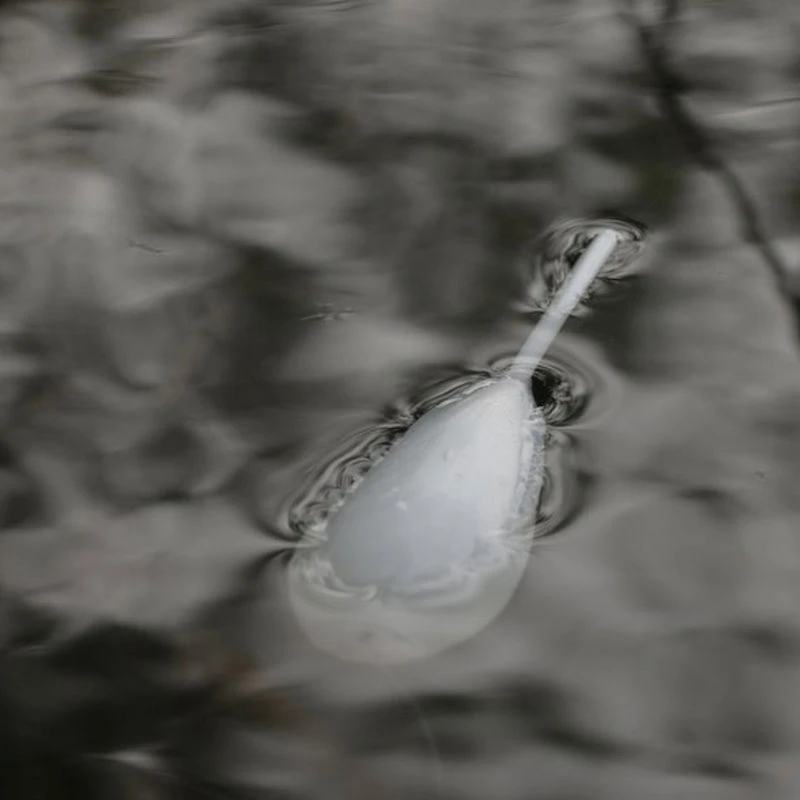 Korda Interceptor Surface Floats
